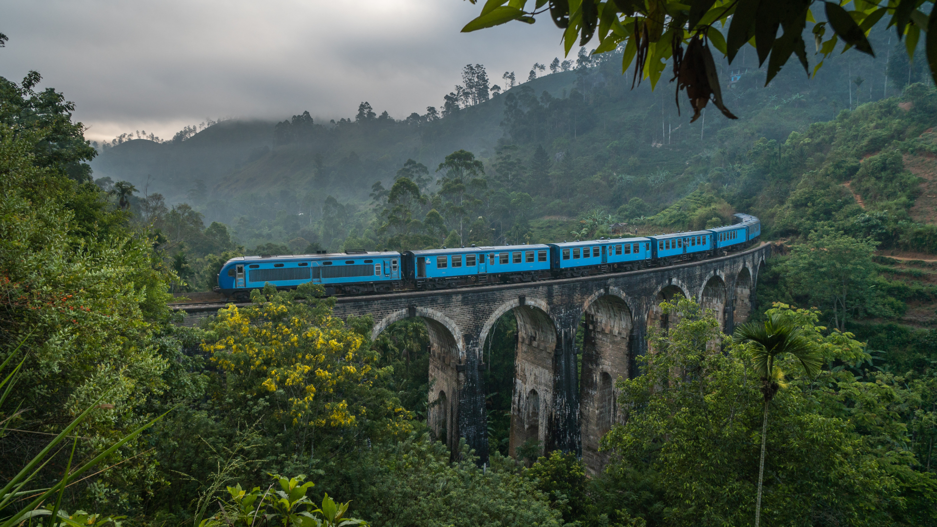 Nine Arch Bridge train, Ella, Sri Lanka