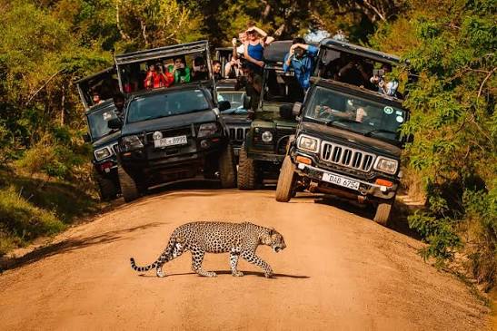 Yala National Park