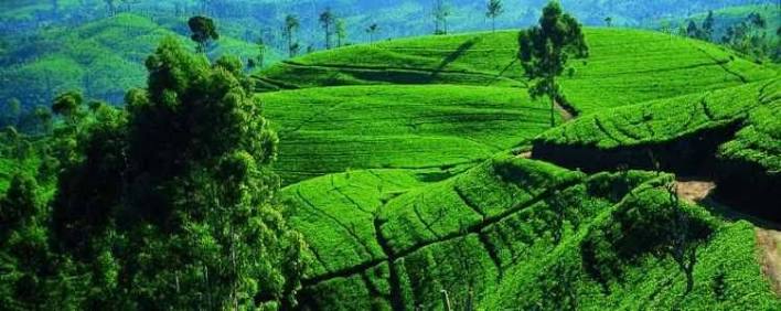 Central Highlands