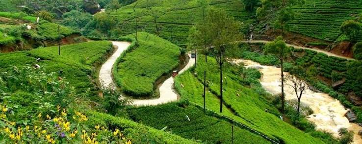 Central Highlands